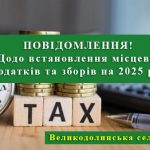 Про ставки податків та зборів на 2025 рік