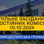 Бюджетна комісія та комісія з прав людини, спільне засідання 10.10.2024