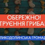 Обережно! Отруєння грибами