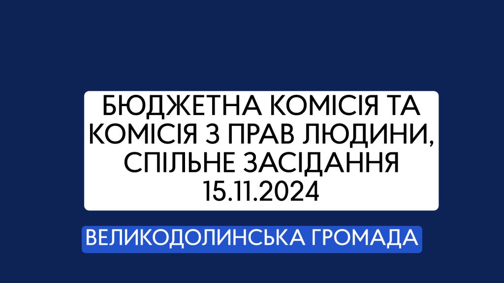 Бюджетна комісія та комісія з прав людини, спільне засідання 15.11.2024