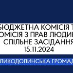 Бюджетна комісія та комісія з прав людини, спільне засідання 15.11.2024