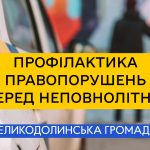 Профілактика правопорушень серед неповнолітніх як однин із основних напрямів у боротьбі зі злочинністю неповнолітніх