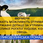 Фермери мають можливість отримати державні дотації за утримання великої рогатої худоби, кіз та овець