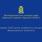 Виконавчий комітет 2 червня 2025 року