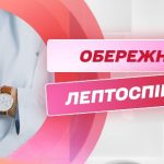 Лептоспіроз. Як запобігти інфікуванню