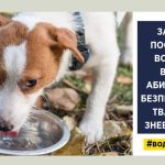 Налийте води безпритульним тваринам