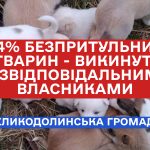 Увага! Відповідальність за тварин — обов’язок кожного!