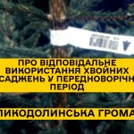 Про відповідальне використання хвойних насаджень у передноворічний період